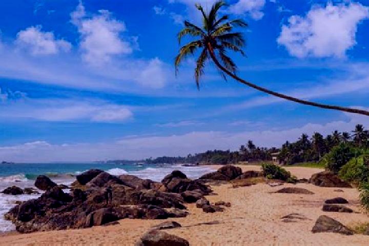 Ella, 20 — Escort in Ambalangoda, Sri Lanka