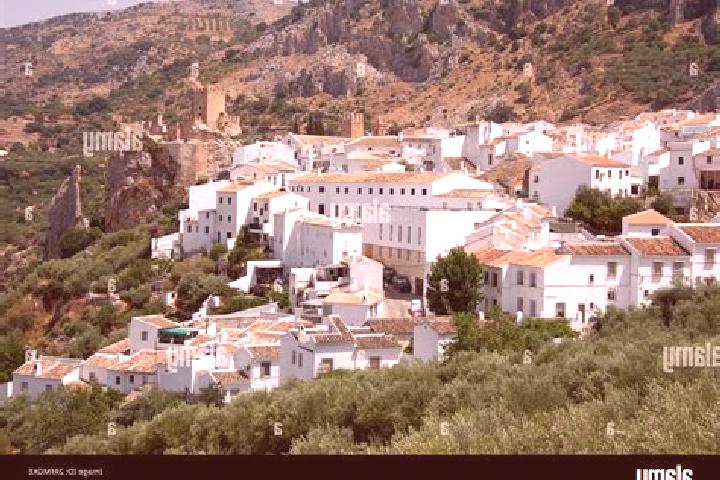 Ella, 20 — Escort in Castel de Cabra, Spain