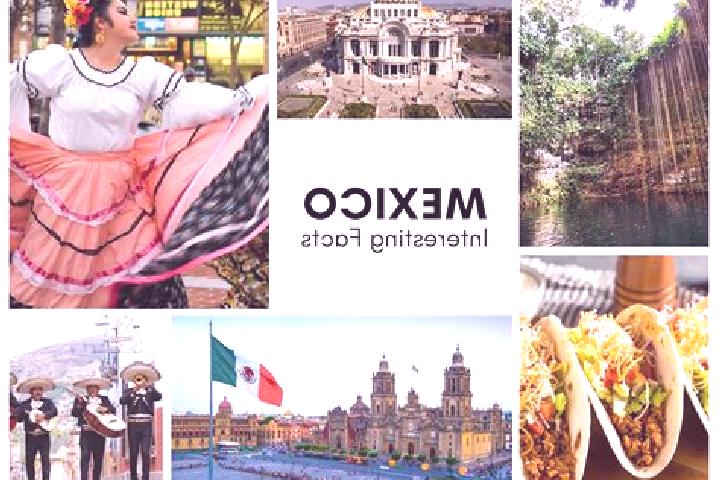 Ella, 20 — Escort in Chirajobampo, Mexico