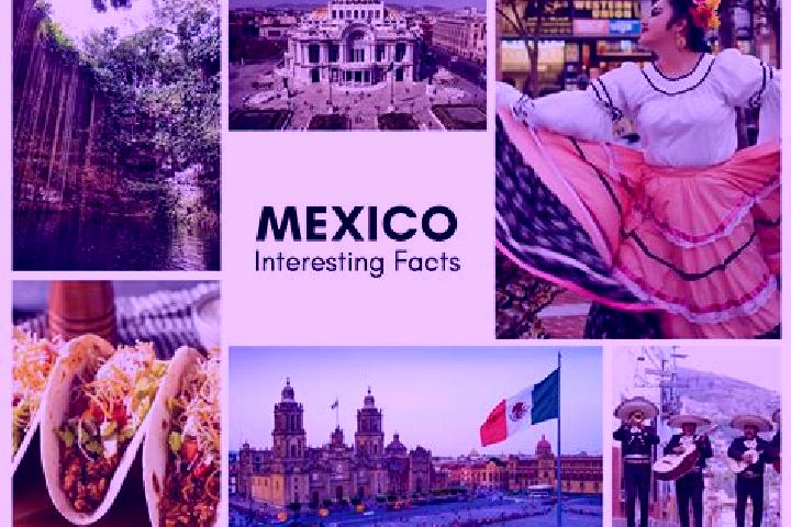 Ella, 20 — Escort in Huexca, Mexico