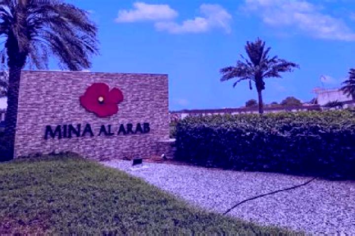 Ella, 20 — Escort in Jubb al Jarrah, Syria