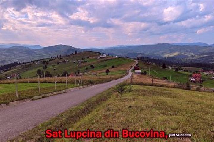 Ella, 20 — Escort in Lupcina, Romania