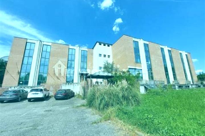 Ella, 20 — Escort in Praticello di Gattatico, Italy