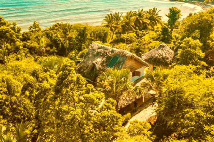 Ella, 20 — Escort in Tigwav, Haiti