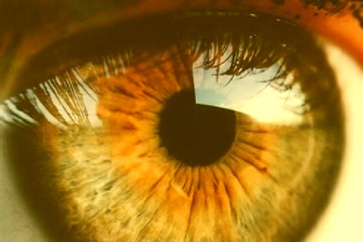 Ella, 22, a dark blonde hazel-eyed middle eastern companion based in Camigliatello Silano. Offering GFE, Tantra, Striptease, CIM. Available for incall and ou...