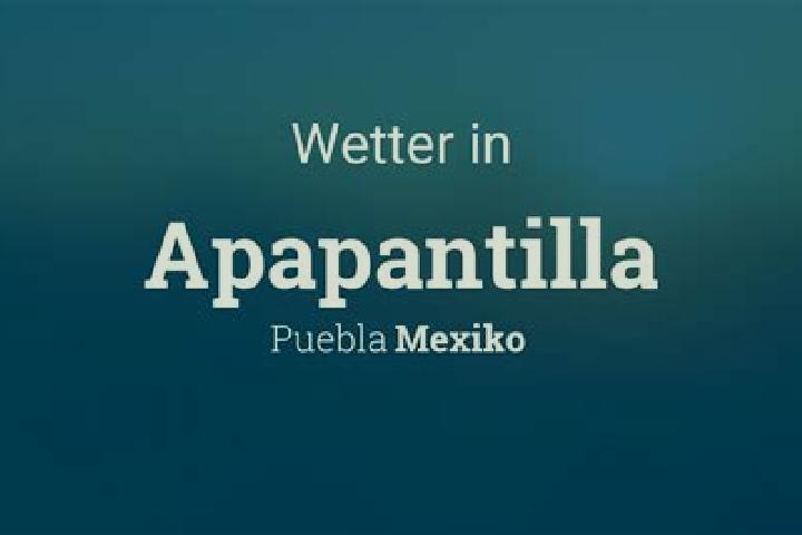 Ella, 22 — Escort in Apapantilla, Mexico