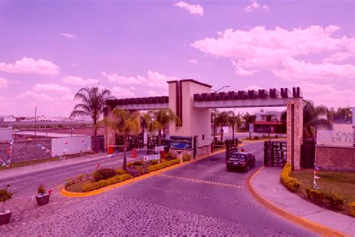 Ella, 22 — Escort in Colonia las Arboledas, Mexico