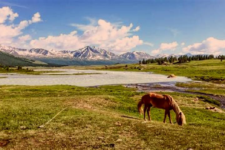 Ella, 22 — Escort in Havirga, Mongolia