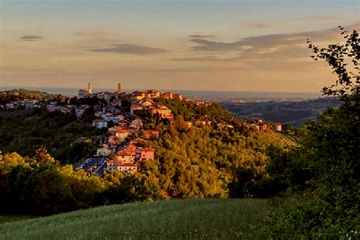 Ella, 22 — Escort in Sogliano al Rubicone, Italy