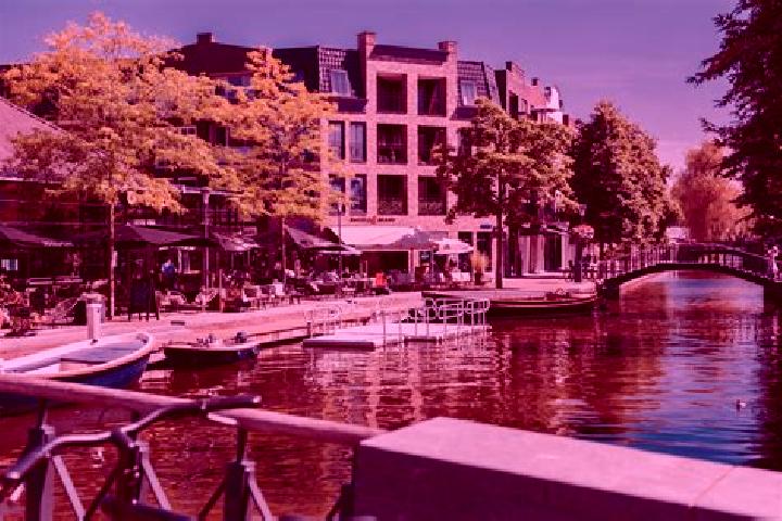 Ella, 22 — Escort in Voorschoten, Netherlands