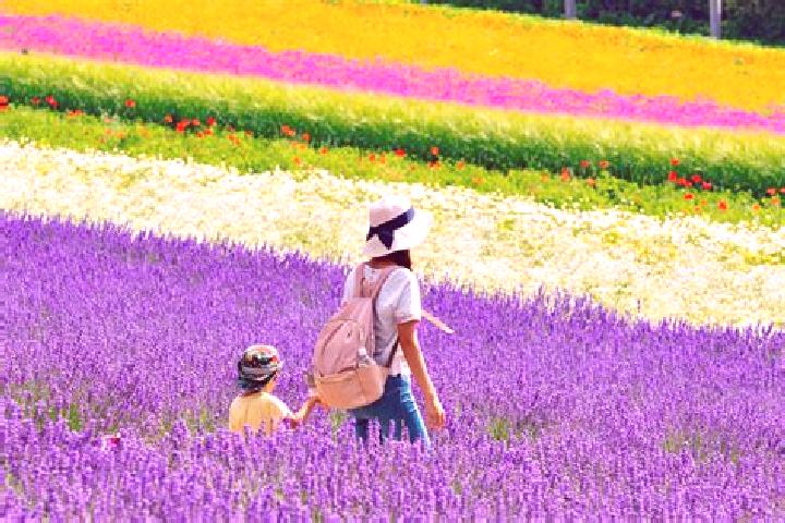 Ella, 23 — Escort in Furano, Japan