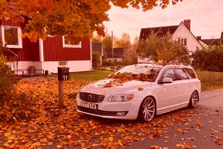 Ella, 23 — Escort in Kinna, Sweden