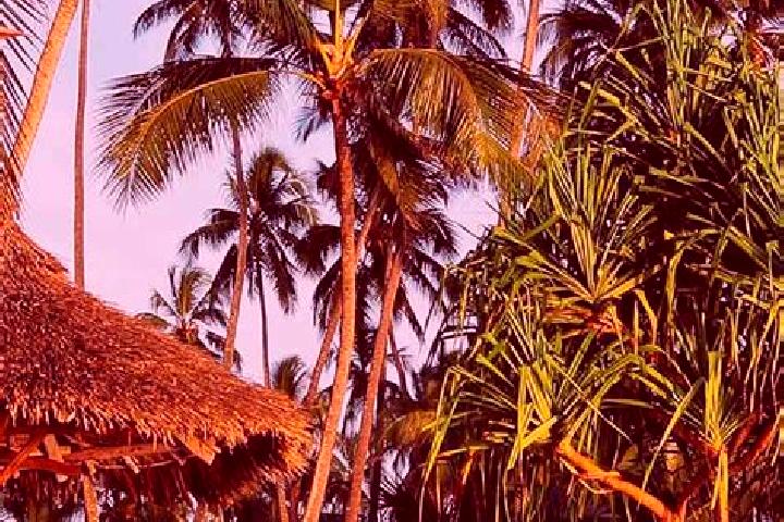 Ella, 23 — Escort in Kitama, Tanzania