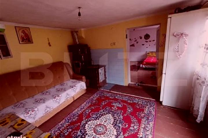 Ella, 23 — Escort in Pianu de Jos, Romania