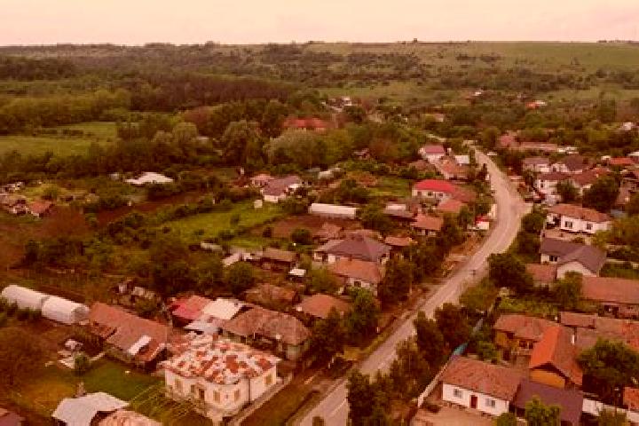 Ella, 23 — Escort in Varvoru de Jos, Romania