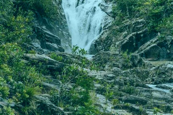 Ella, 24 — Escort in Big Fall, Belize