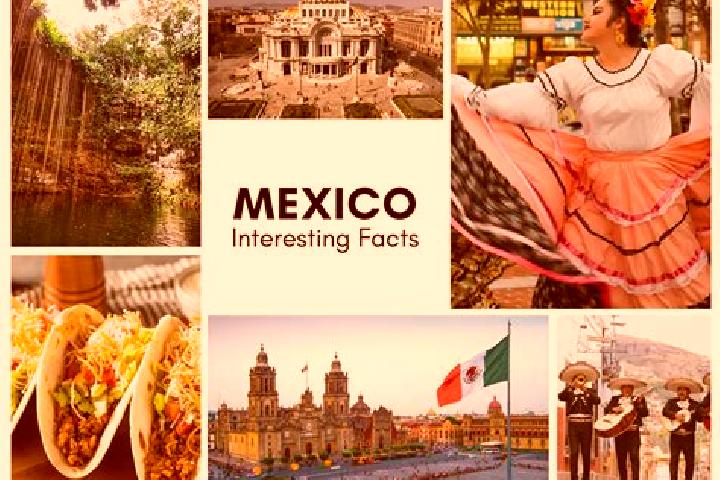 Ella, 24 — Escort in Los Molinos, Mexico
