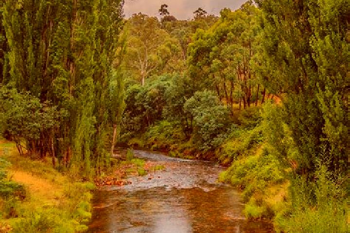 Ella, 25 — Escort in Little River, Australia