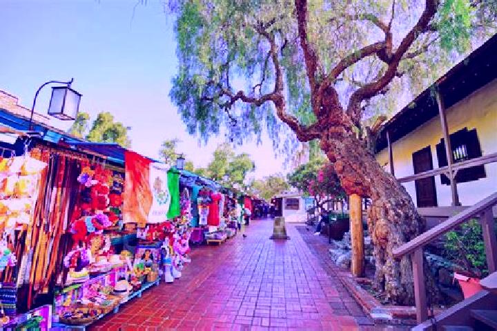 Ella, 25 — Escort in Los Olvera, Mexico
