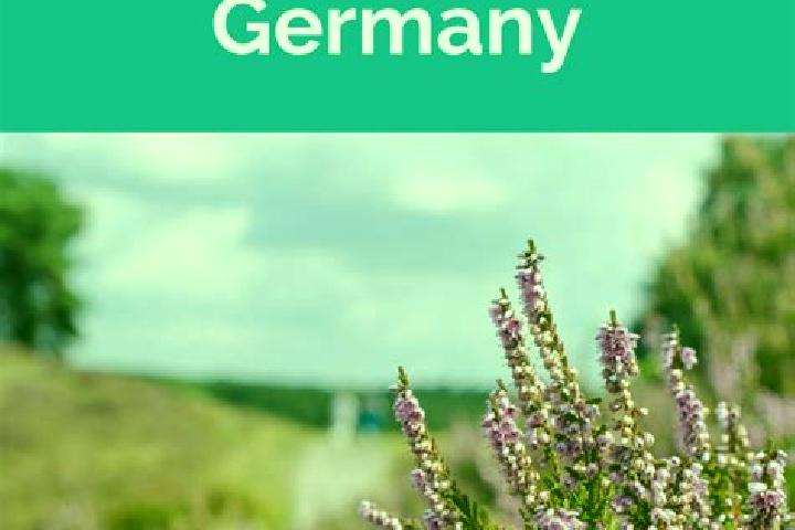 Ella, 25 — Escort in Soltau, Germany