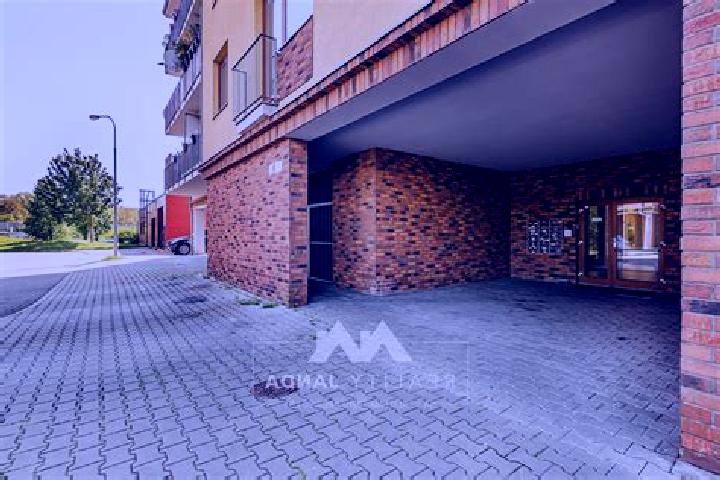 Ella, 25 — Escort in Stary Liskovec, Czech Republic