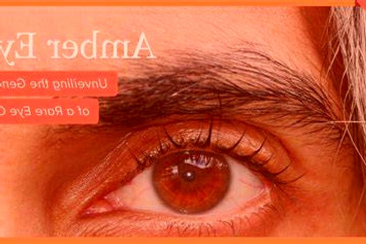 Ella, 26, a black amber-eyed european companion based in Dompierre-sur-Mer. Offering Domination, GFE, BDSM. Available for incall and outcall, overnight booki...