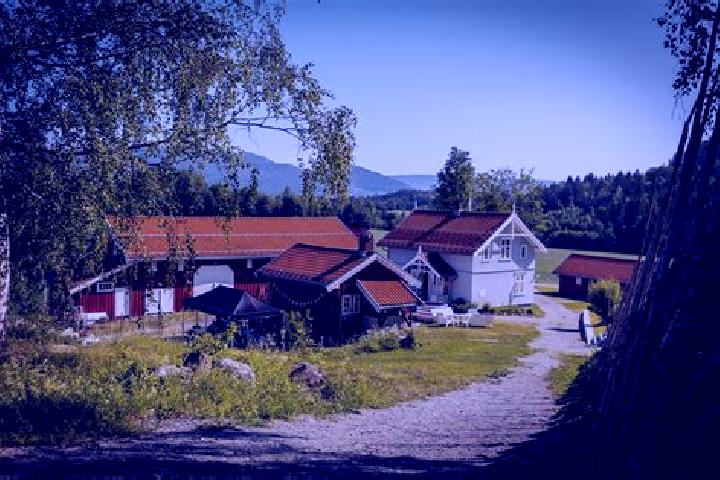 Ella, 26 — Escort in Holmestrand, Norway