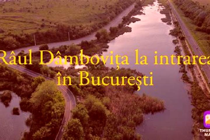 Ella, 26 — Escort in Rau Alb de Sus, Romania