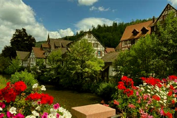 Ella, 26 — Escort in Schiltach, Germany