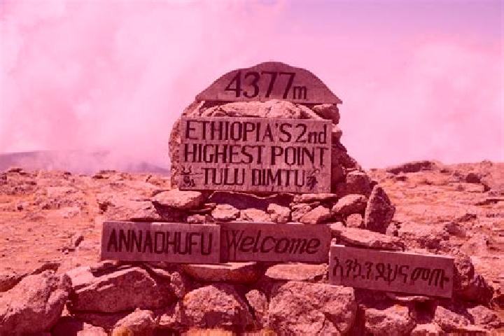 Ella, 26 — Escort in Tulu Bolo, Ethiopia