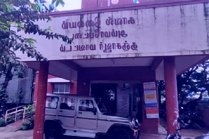 Ella, 27 — Escort in Ammapettai, India