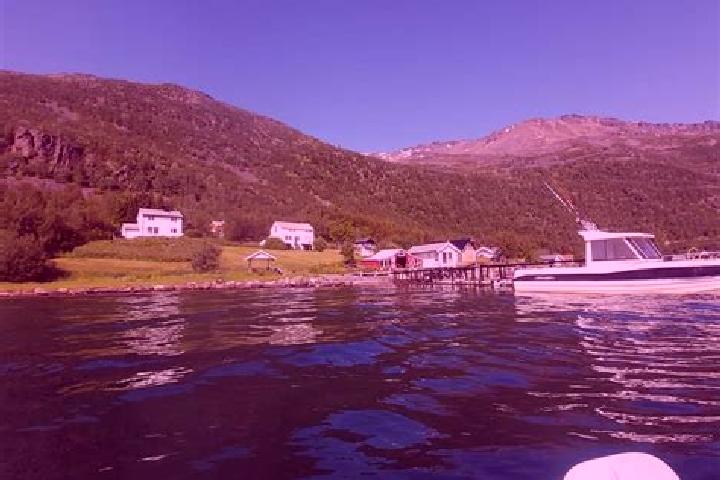 Ella, 27 — Escort in Burfjord, Norway