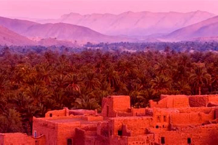 Ella, 27 — Escort in El Ouatia, Morocco