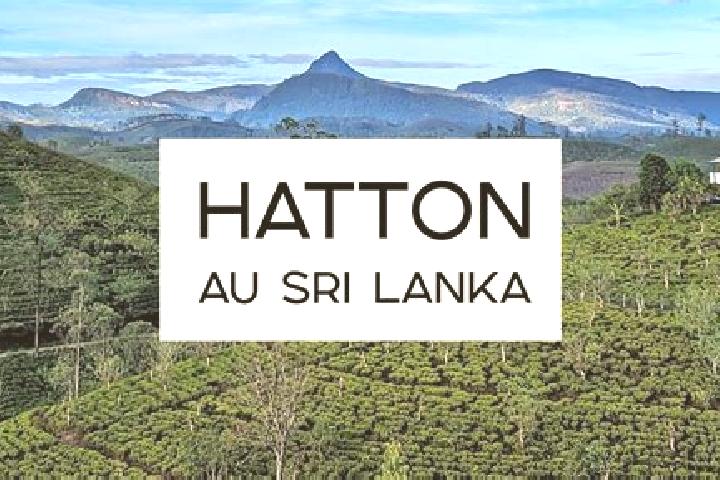 Ella, 27 — Escort in Hatton, Sri Lanka
