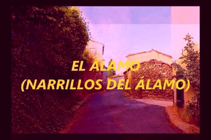 Ella, 27 — Escort in Narrillos del Alamo, Spain