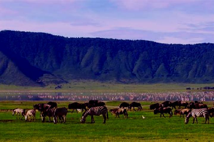 Ella, 27 — Escort in Ngorongoro, Tanzania