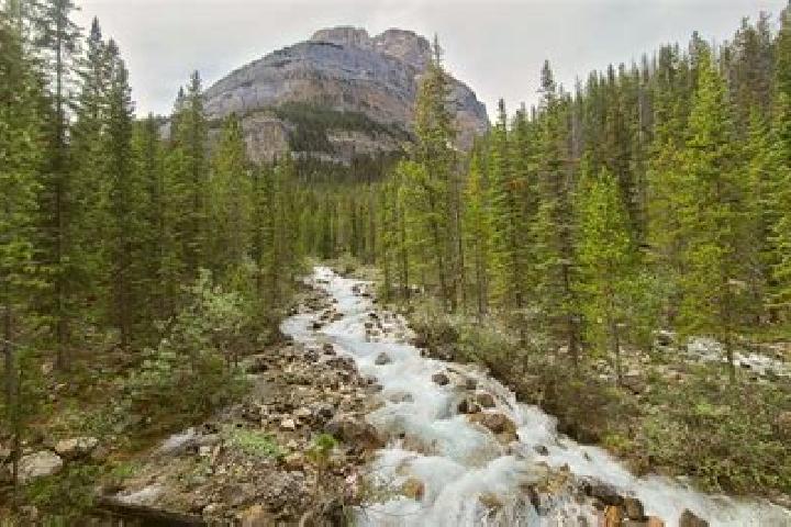 Ella, 27 — Escort in Spirit River, Canada