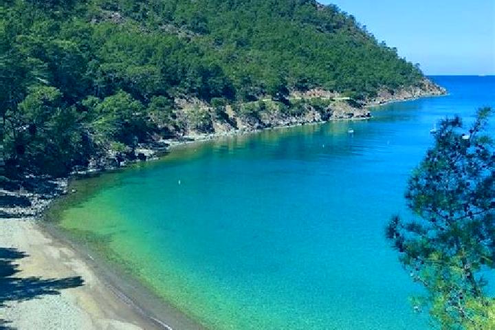 Ella, 27 — Escort in Yukari Karatas, Turkey