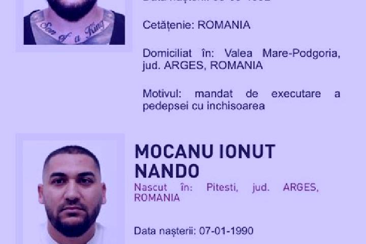 Ella, 28 — Escort in Enculesti, Romania