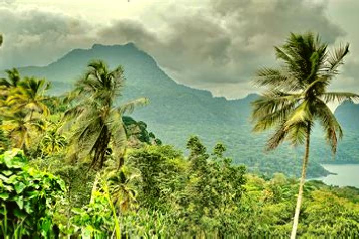 Ella, 28 — Escort in Pete-Pete, Sao Tome and Principe