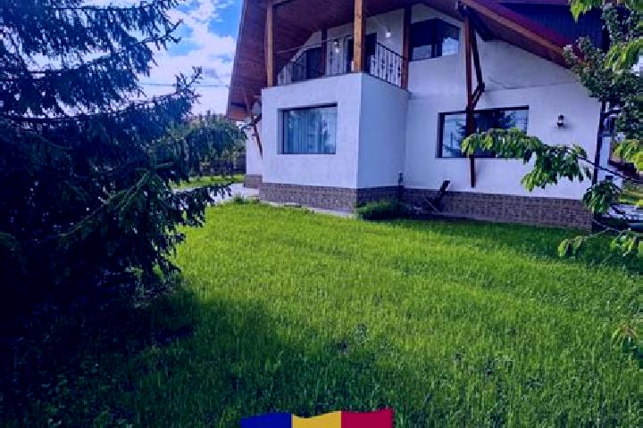 Ella, 28 — Escort in Scorteni, Romania
