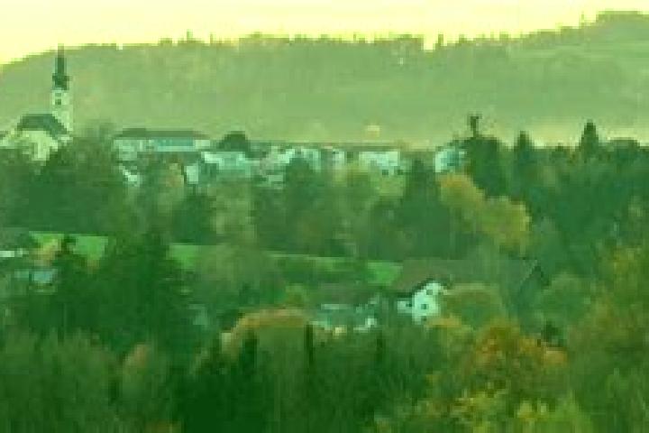 Ella, 29 — Escort in Neukirchen vorm Wald, Germany