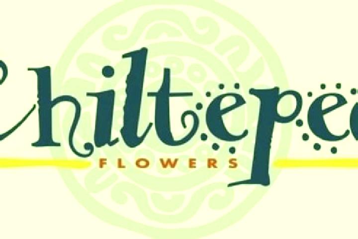 Ella, 30 — Escort in Chiltepec de Hidalgo, Mexico