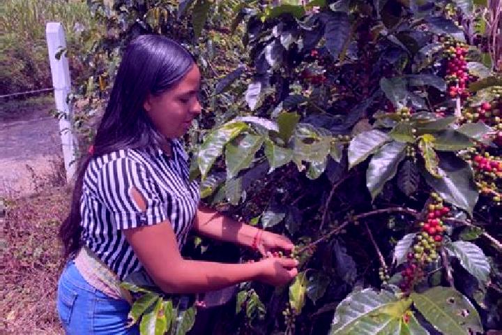 Ella, 30 — Escort in Chitaraque, Colombia