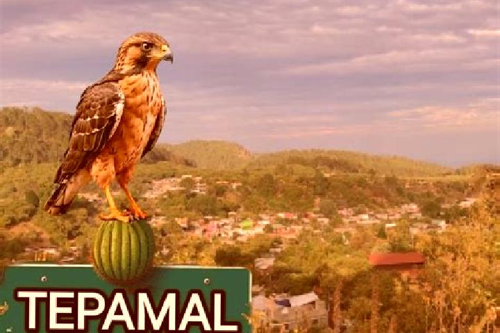 Ella, 30 — Escort in El Tepamal, Mexico