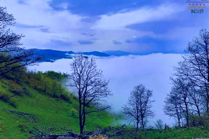 Ella, 30 — Escort in Gandzakar, Armenia