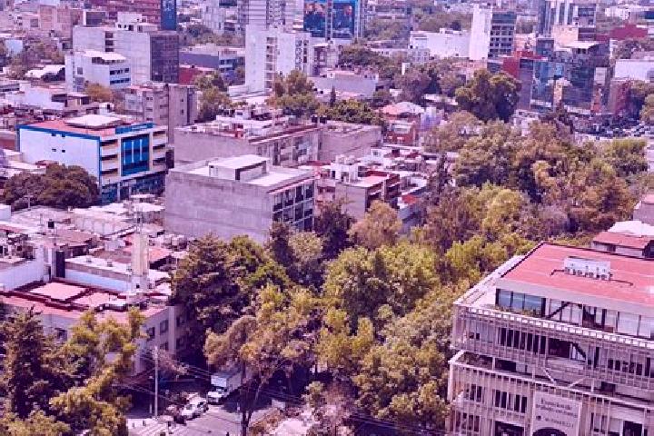 Ella, 31 — Escort in Colonia Ejidal Rafael Merino, Mexico
