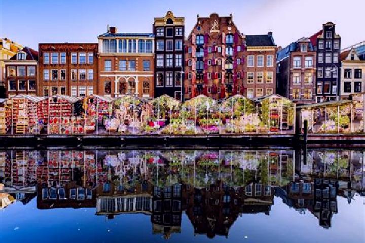 Ella, 31 — Escort in Gracht, Netherlands