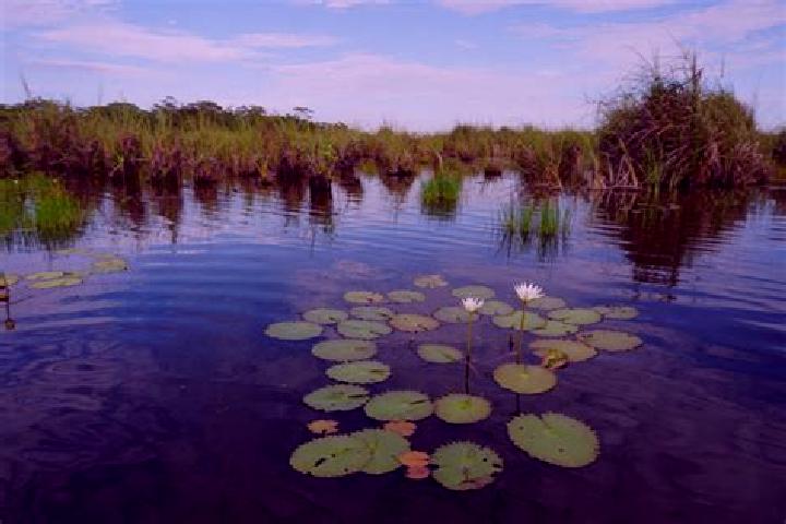 Ella, 31 — Escort in Pantanal, Mexico