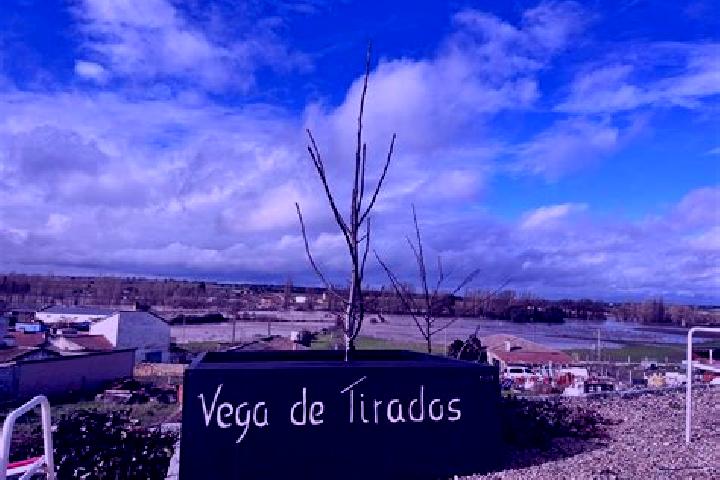 Ella, 31 — Escort in Vega de Tirados, Spain